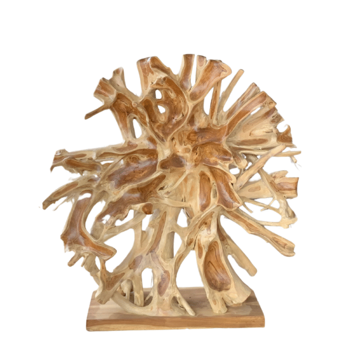 Rootique Crown Sculpture