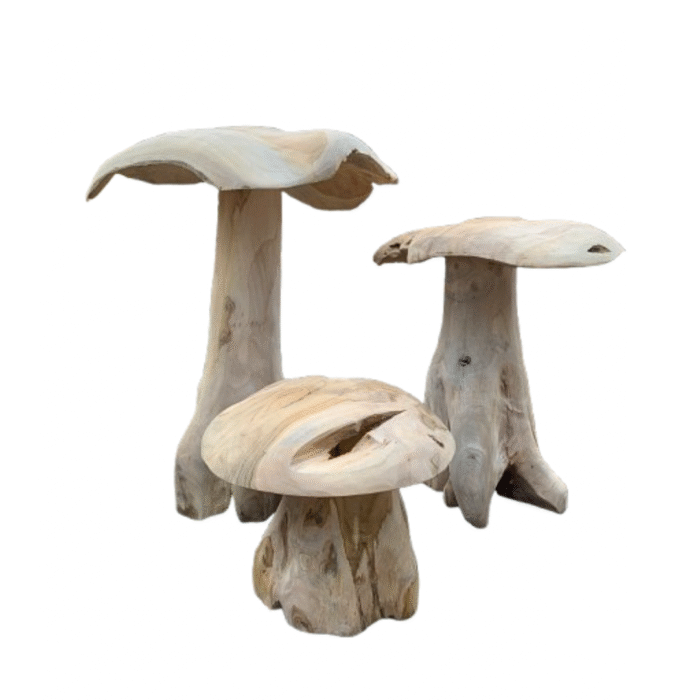 Teak Wood Mushroom